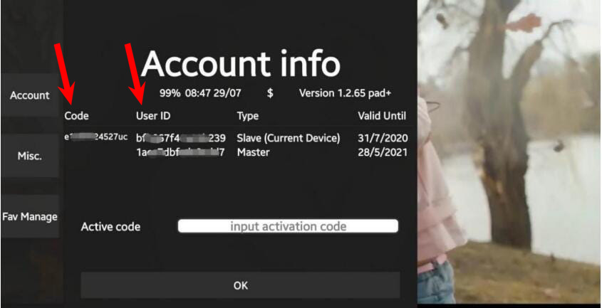 Dreamstreams Account Image